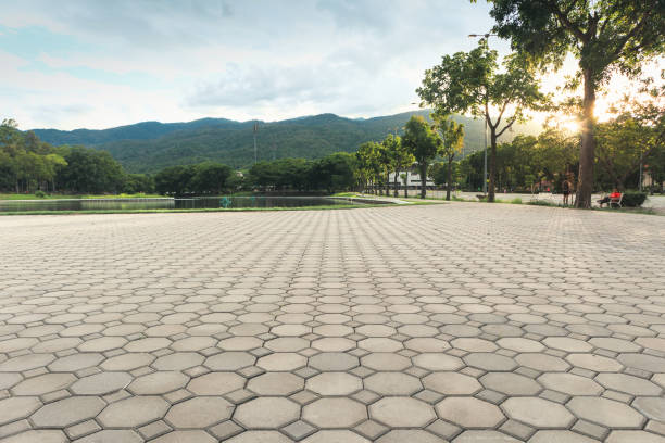 Best Local Driveway Pavers  in Lumberton, MS